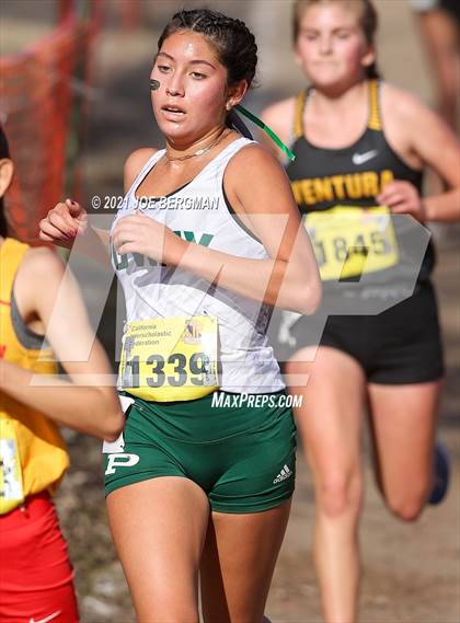 Thumbnail 2 in CIF State Cross Country Championships (Girls D2 Race) photogallery.