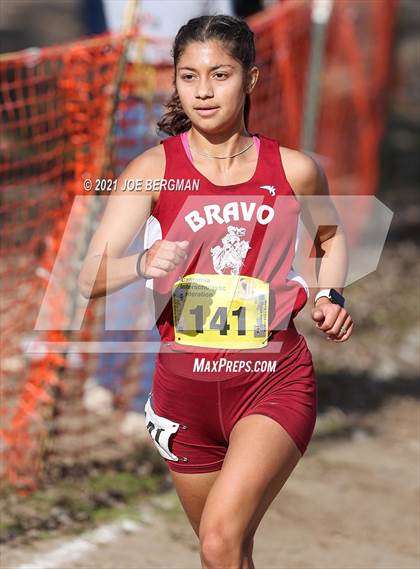 Thumbnail 2 in CIF State Cross Country Championships (Girls D2 Race) photogallery.