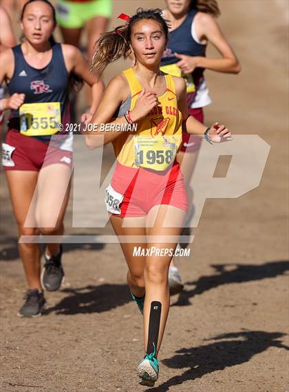 Thumbnail 3 in CIF State Cross Country Championships (Girls D2 Race) photogallery.