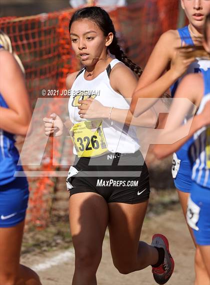 Thumbnail 2 in CIF State Cross Country Championships (Girls D2 Race) photogallery.