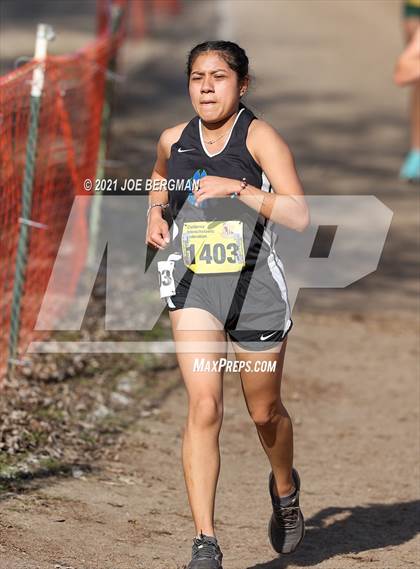 Thumbnail 3 in CIF State Cross Country Championships (Girls D2 Race) photogallery.