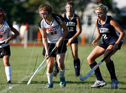 Thumbnail 3 in Webster Groves vs. Ladue photogallery.
