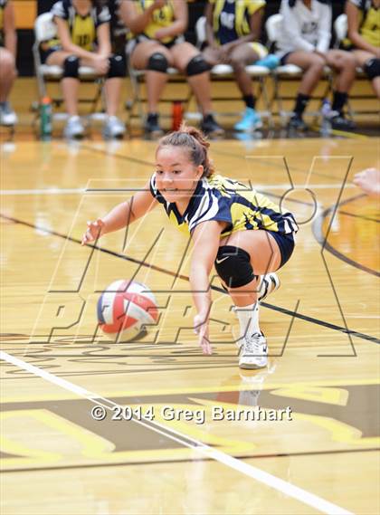 Thumbnail 3 in Inderkum @ Yuba City photogallery.