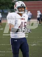 Photo from the gallery "Cholla @ Sahuarita"