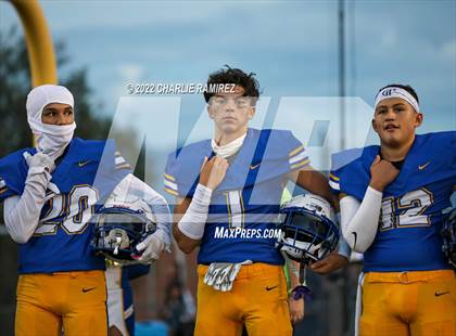 Thumbnail 2 in Cholla @ Sahuarita photogallery.