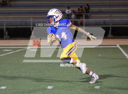 Thumbnail 3 in Cholla @ Sahuarita photogallery.