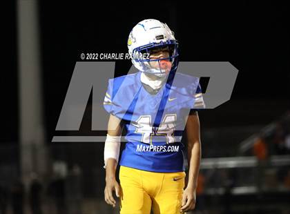 Thumbnail 2 in Cholla @ Sahuarita photogallery.