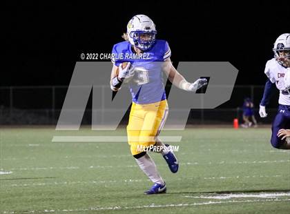 Thumbnail 1 in Cholla @ Sahuarita photogallery.