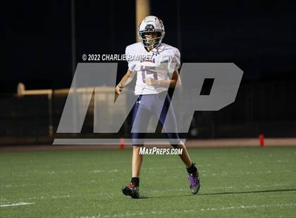 Thumbnail 3 in Cholla @ Sahuarita photogallery.