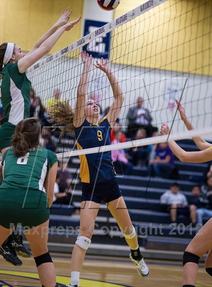 Thumbnail 3 in Loudoun Valley @ Loudoun County photogallery.