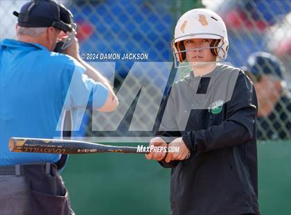 Thumbnail 1 in White Pine vs Virgin Valley (40th Annual Sherman Bennett Memorial Desert Winds Classic) photogallery.