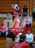 Photo from the gallery "Adena @ South Webster"