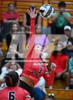 Photo from the gallery "Adena @ South Webster"