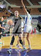 Photo from the gallery "Red Rock @ Phoenix Country Day (AIA-2A Semifinals)"