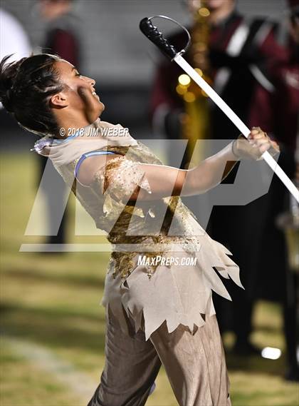 Thumbnail 3 in Wiregrass Ranch @ Wharton photogallery.
