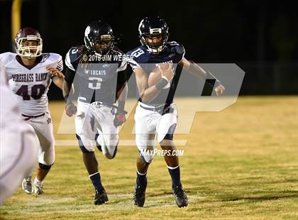 Thumbnail 1 in Wiregrass Ranch @ Wharton photogallery.