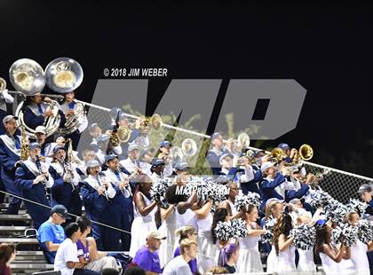 Thumbnail 2 in Wiregrass Ranch @ Wharton photogallery.