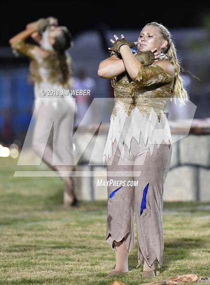 Thumbnail 3 in Wiregrass Ranch @ Wharton photogallery.