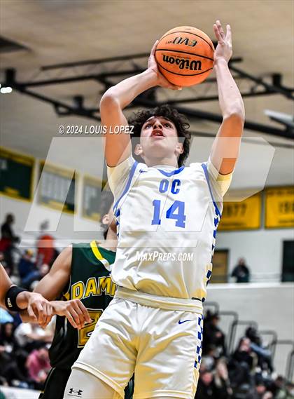 Thumbnail 3 in O'Connor @ Damien (Damien Classic) photogallery.