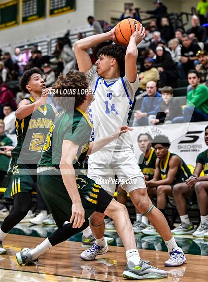 Thumbnail 1 in O'Connor @ Damien (Damien Classic) photogallery.