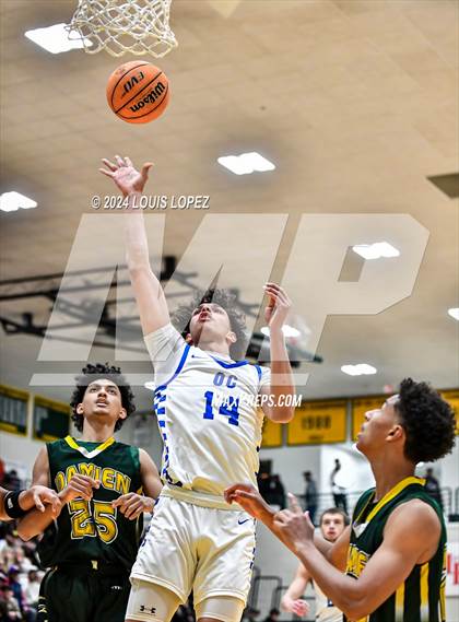 Thumbnail 2 in O'Connor @ Damien (Damien Classic) photogallery.