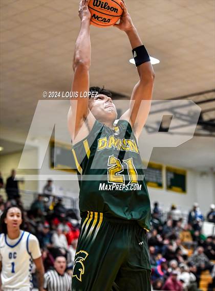 Thumbnail 2 in O'Connor @ Damien (Damien Classic) photogallery.