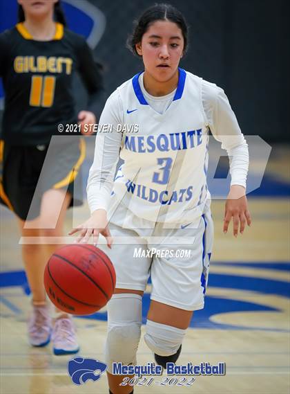 Thumbnail 1 in Gilbert @ Mesquite photogallery.