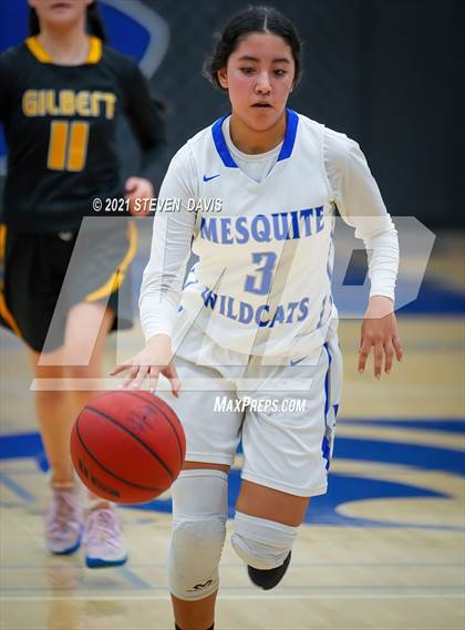 Thumbnail 1 in Gilbert @ Mesquite photogallery.