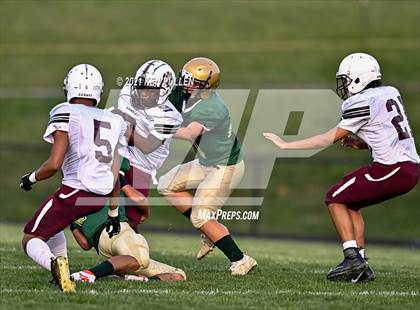 Thumbnail 3 in Handley @ Skyline photogallery.