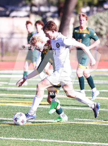 Thumbnail 2 in Alameda @ San Ramon Valley photogallery.