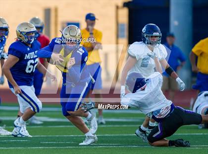 Thumbnail 1 in Warren @ Alamo Heights (Scrimmage) photogallery.