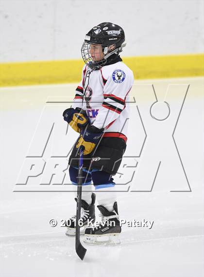Thumbnail 1 in Woodstock Academy @ Smith/Tolland/Windham photogallery.