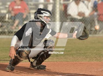 Thumbnail 1 in Tampa Prep vs Tarpon photogallery.