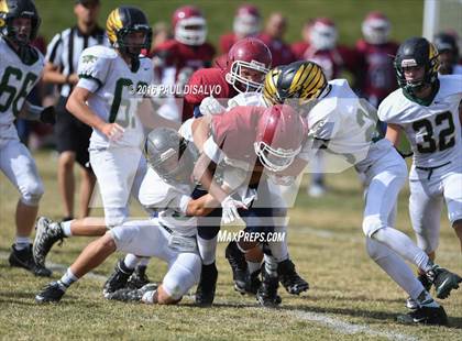 Thumbnail 1 in JV: Mountain Vista @ Cherokee Trail photogallery.