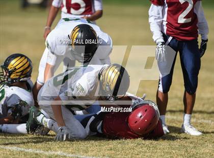 Thumbnail 3 in JV: Mountain Vista @ Cherokee Trail photogallery.