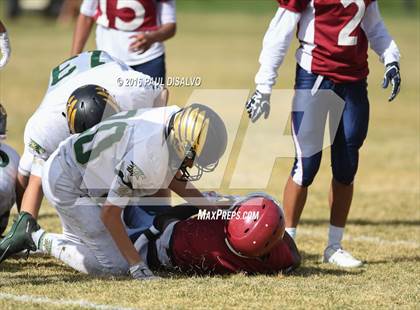 Thumbnail 2 in JV: Mountain Vista @ Cherokee Trail photogallery.