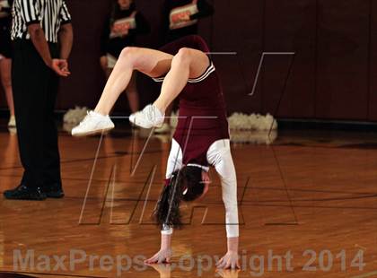 Thumbnail 3 in Pigeon Forge @ Alcoa (TSSAA 2-AA Regional Playoff) photogallery.