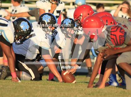 Thumbnail 3 in Nature Coast Tech @ Springstead photogallery.