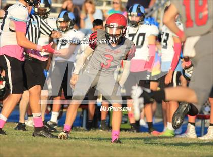 Thumbnail 3 in JV: Nature Coast Tech @ Springstead photogallery.