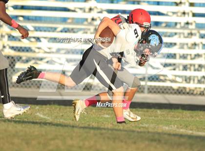 Thumbnail 3 in Nature Coast Tech @ Springstead photogallery.