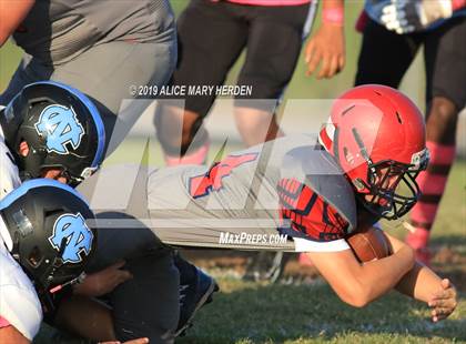 Thumbnail 3 in Nature Coast Tech @ Springstead photogallery.