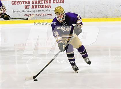 Thumbnail 1 in Notre Dame Prep vs. Pinnacle (AHSHA D1 Final)  photogallery.