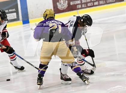 Thumbnail 2 in Notre Dame Prep vs. Pinnacle (AHSHA D1 Final)  photogallery.