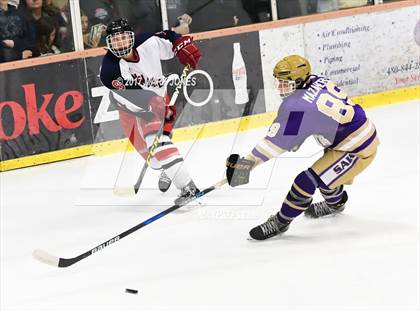 Thumbnail 1 in Notre Dame Prep vs. Pinnacle (AHSHA D1 Final)  photogallery.