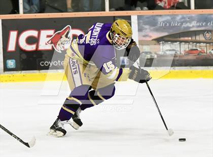 Thumbnail 2 in Notre Dame Prep vs. Pinnacle (AHSHA D1 Final)  photogallery.