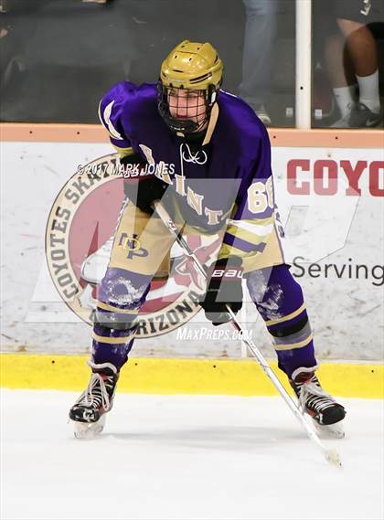 Thumbnail 1 in Notre Dame Prep vs. Pinnacle (AHSHA D1 Final)  photogallery.