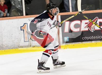 Thumbnail 3 in Notre Dame Prep vs. Pinnacle (AHSHA D1 Final)  photogallery.