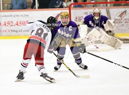 Thumbnail 2 in Notre Dame Prep vs. Pinnacle (AHSHA D1 Final)  photogallery.