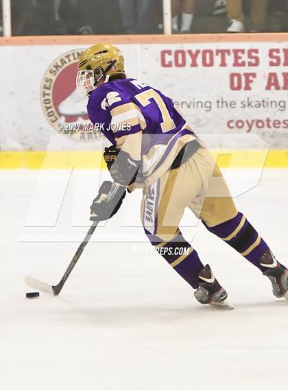 Thumbnail 1 in Notre Dame Prep vs. Pinnacle (AHSHA D1 Final)  photogallery.