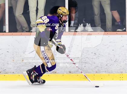 Thumbnail 3 in Notre Dame Prep vs. Pinnacle (AHSHA D1 Final)  photogallery.